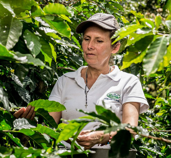 mujer trabajando 