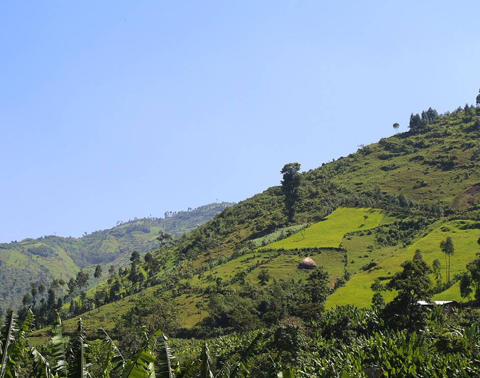 paisaje agrícola