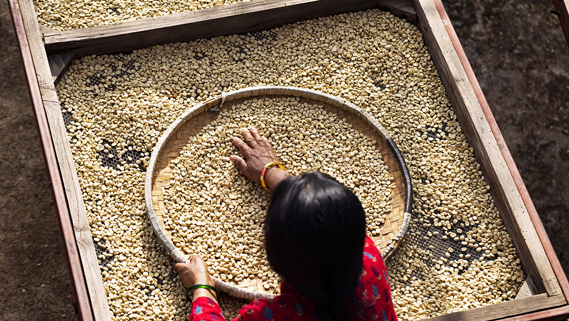 Mujer trabajando con granos de café