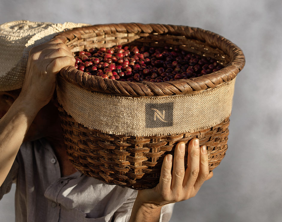 Cesta de cafetaleros con el logotipo de Nespresso llena de granos de café recogidos