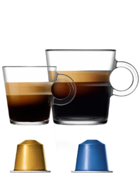 Nespresso Original - Assortiment Découverte 200 Capsules de café -  Intensité 4 à 13 - Sélection de 16 Cafés - Ristretto, Espresso, Lungo,  Americano : : Epicerie