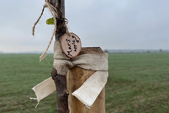 Březinka fotografie 8