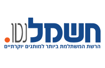 חשמל נטו