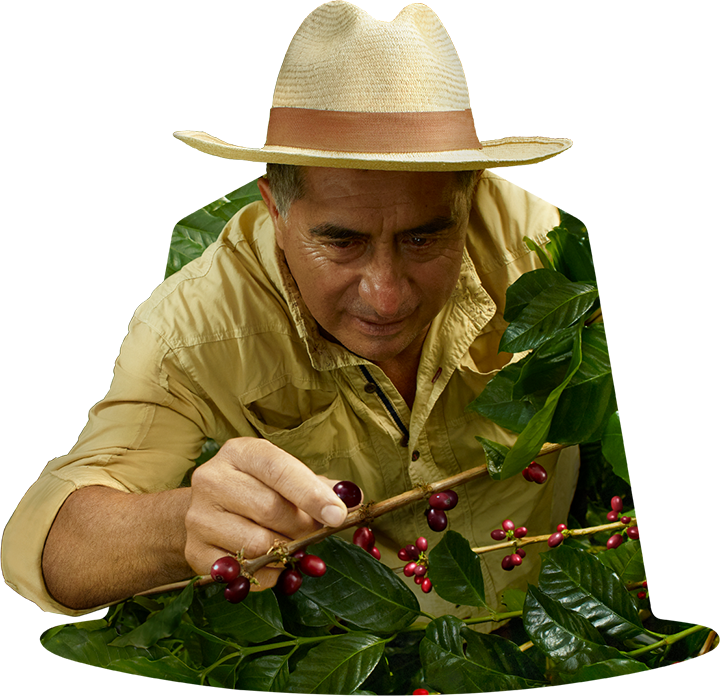 COLOMBIA