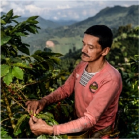 Supporting High-quality Coffee Farming